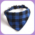 Collar-029